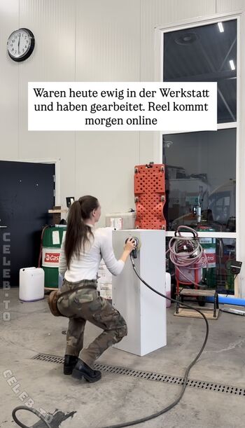 affe_auf_bike