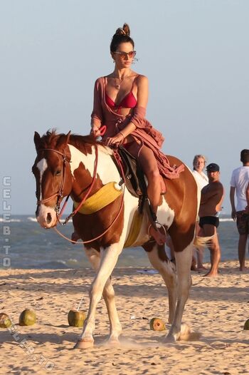 Full leaked Alessandra ambrosio  page private onlyfans photo
