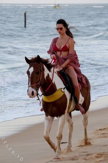 Full leaked Alessandra ambrosio  page private onlyfans photo