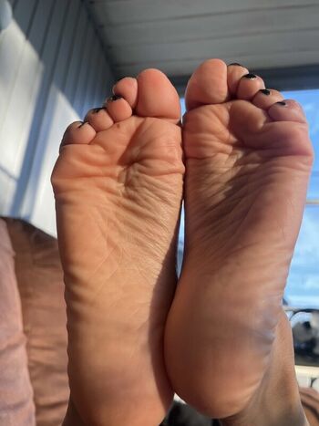 alexavlley
