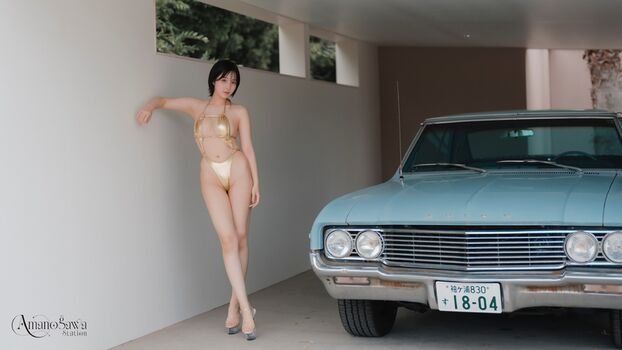 Amakawa Seika