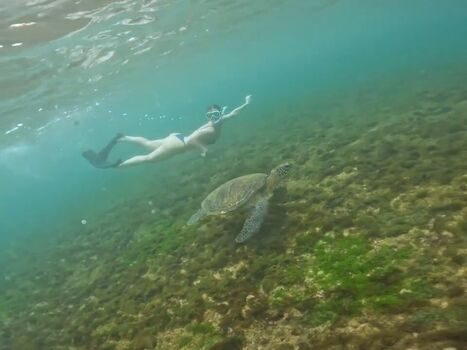 Ana Carolina Madeira