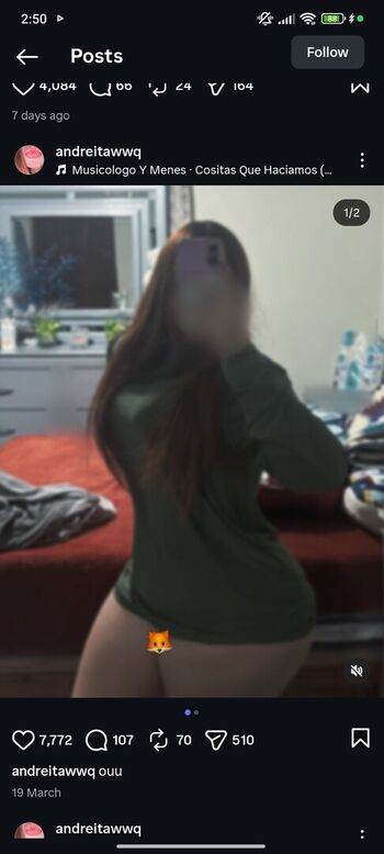 andreitawwq