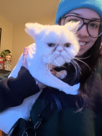 Full leaked Angelina fishtank private onlyfans photo