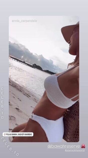 Annemarie Carpendale