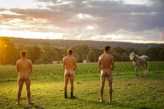 Aus Farm
