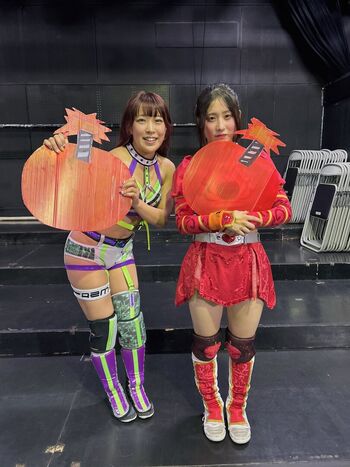 Full leaked Lillelyst/ private onlyfans photo