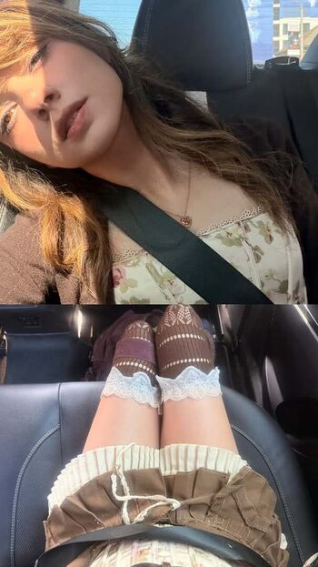 Bonnierabbit