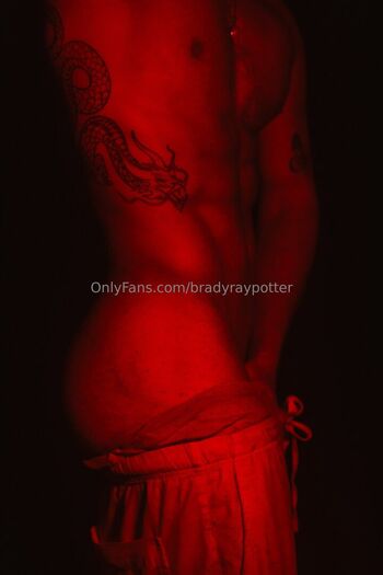 bradyraypotter