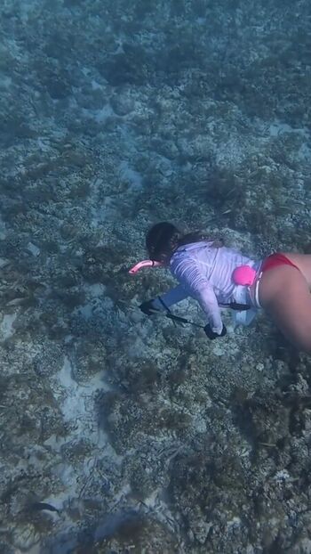 Carissa Dives