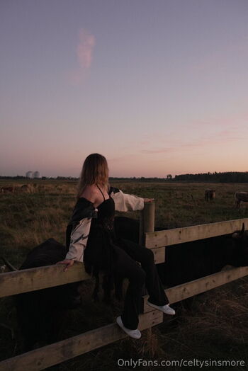 celtysinsmore