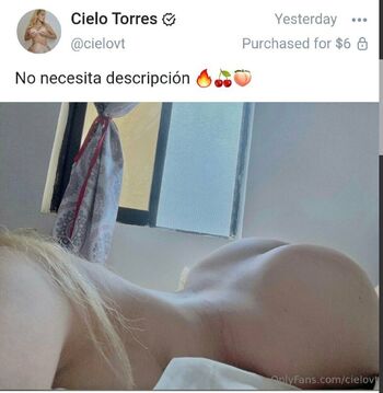 Cielovt