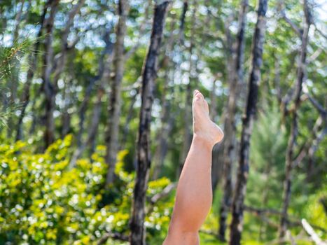 Combustível Sem Imposto