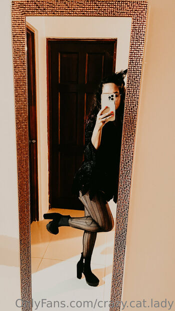 crazy.cat.lady