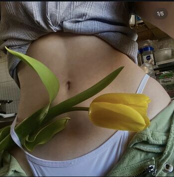 d_daisy_y_y