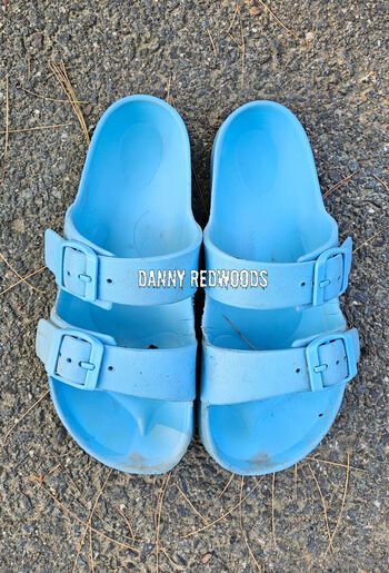 dannyredwoods
