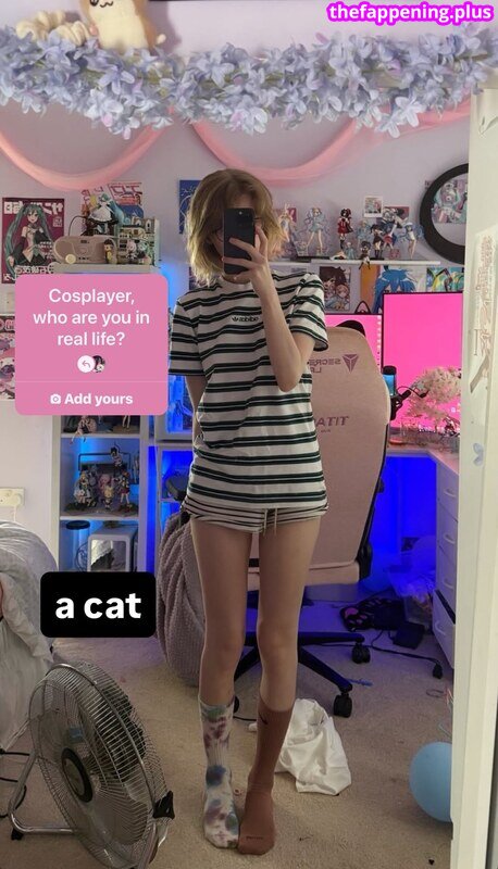 Digitalkatt