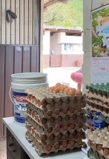 Full leaked Elizabeth lopez private onlyfans photo