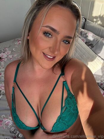 elliemae_vip