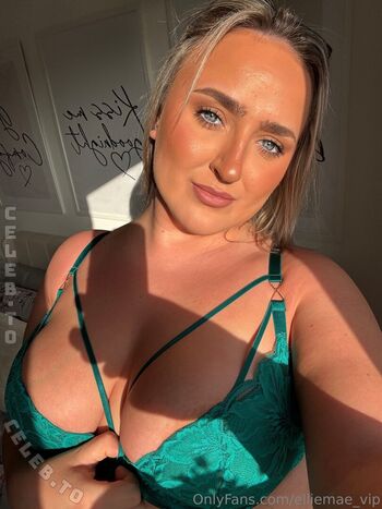 elliemae_vip