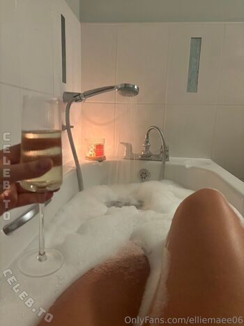 elliemae_vip