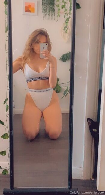 Ellierosek
