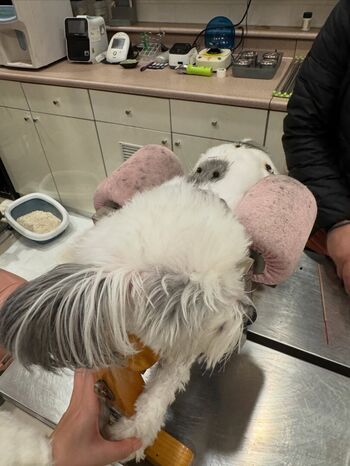 Full leaked Stella luxx / private onlyfans photo