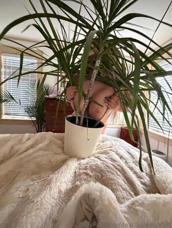 Full leaked Exclusivelyxela private onlyfans photo