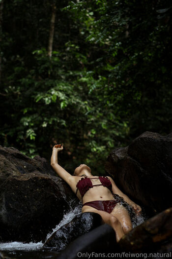 feiwong.natural