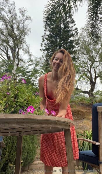 Findaliceinwonderland