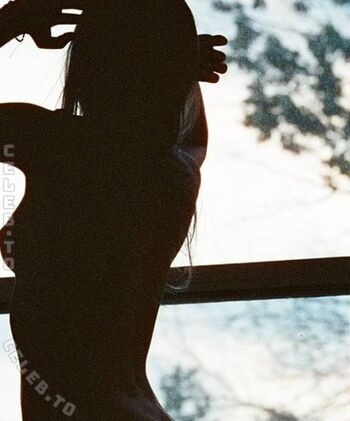 Fredie Halter