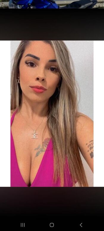 Gatas De Pelotas
