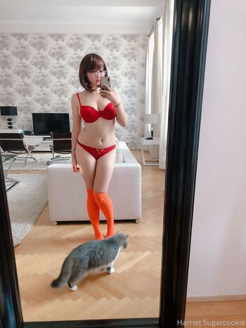 Full leaked Harriet sugarcookie private onlyfans photo