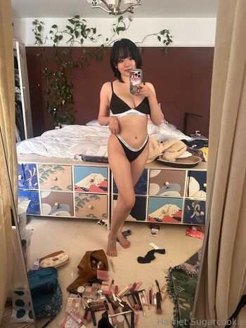 Harriet Sugarcookie