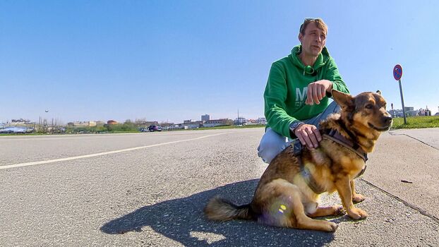 Full leaked Hartz rot gold private onlyfans photo