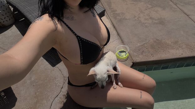 Heidikinnns