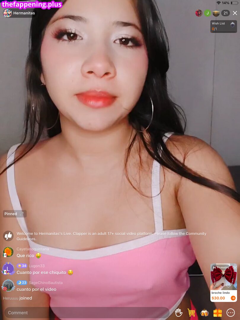 Hermanitas
