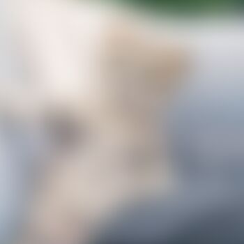 Full leaked Iilostgabbii private onlyfans photo