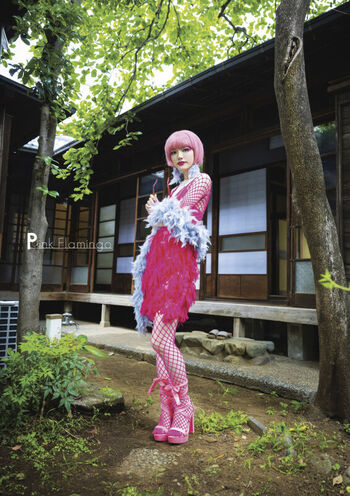 Jav Actress Gravure