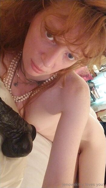 jenovakitty