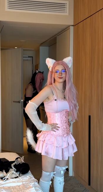 KDRkitten