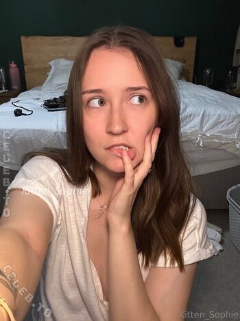 Kitten Sophie