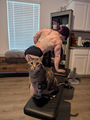Kittybit