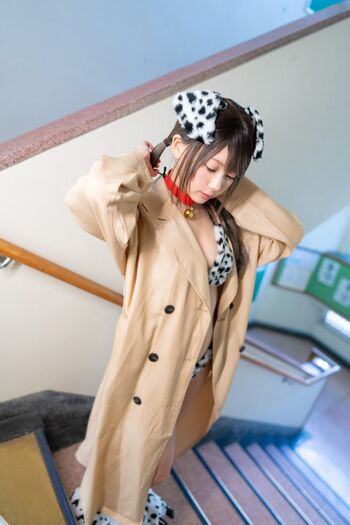 Kokoro Shinozaki