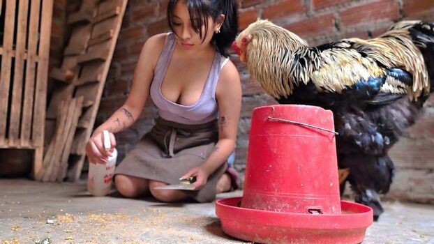 La Criadora De Gallinas