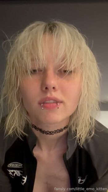 little_emo_kitten