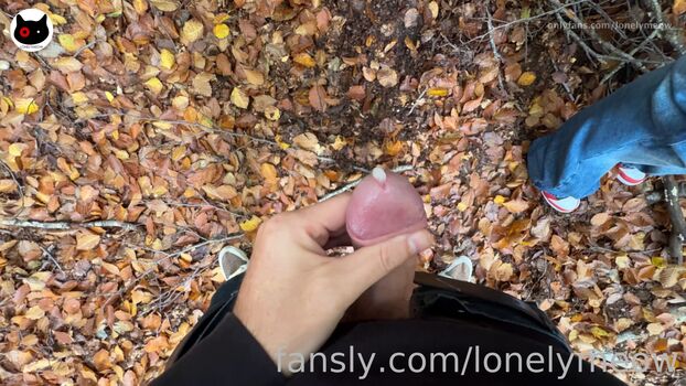 Full leaked Lonelymeow private onlyfans photo