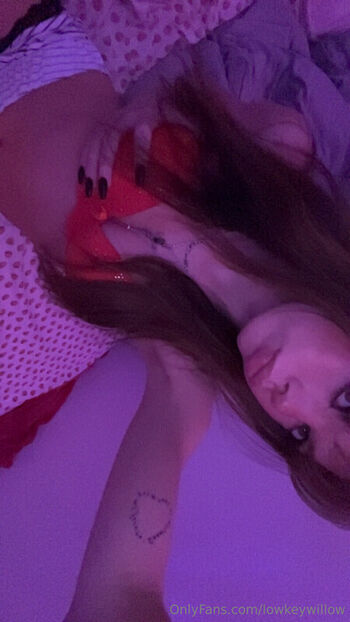 Full leaked Lowkeywillow private onlyfans photo