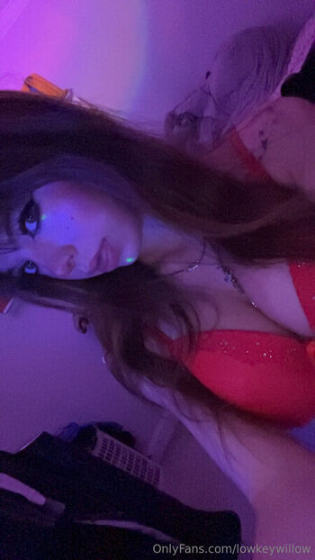 Full leaked Lowkeywillow private onlyfans photo