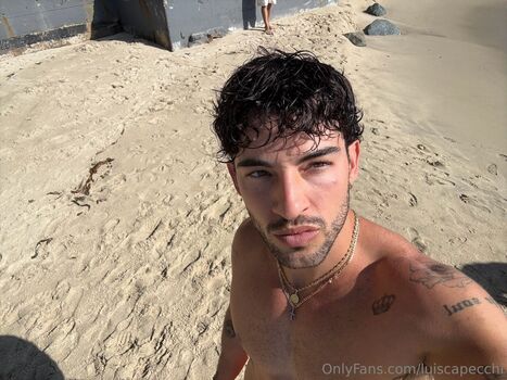 luiscapecchi